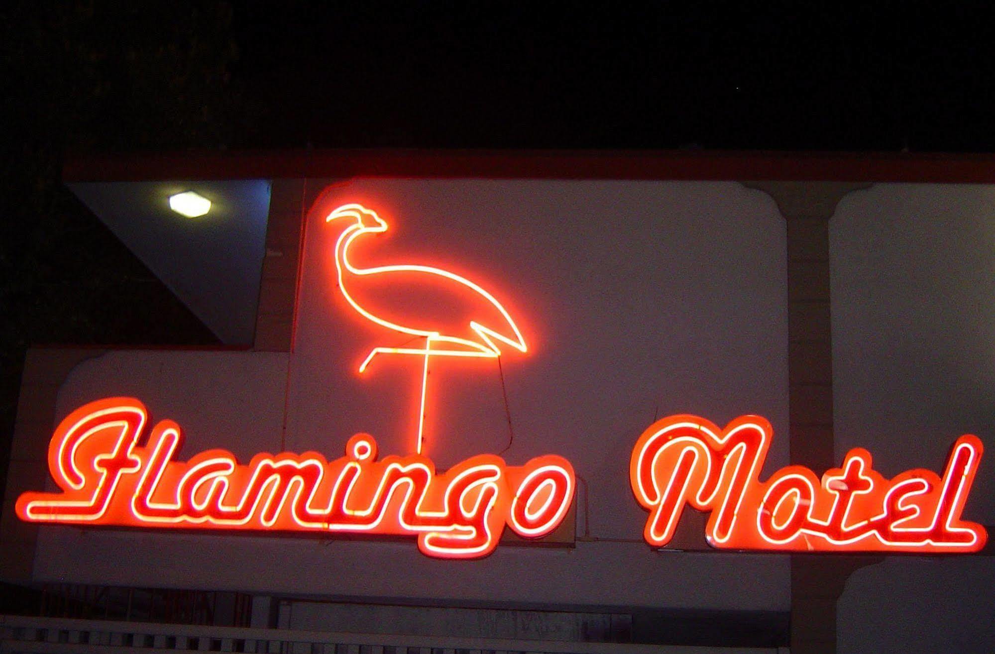 The Flamingo Motel San José Exterior foto